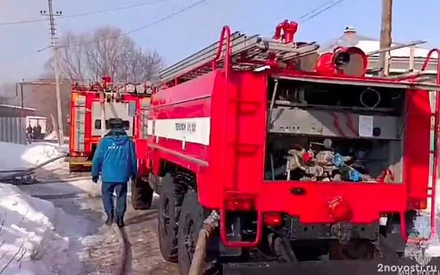 В Шадринске в огне погибли трое детей, самого младшего спасла сестренка — Новости