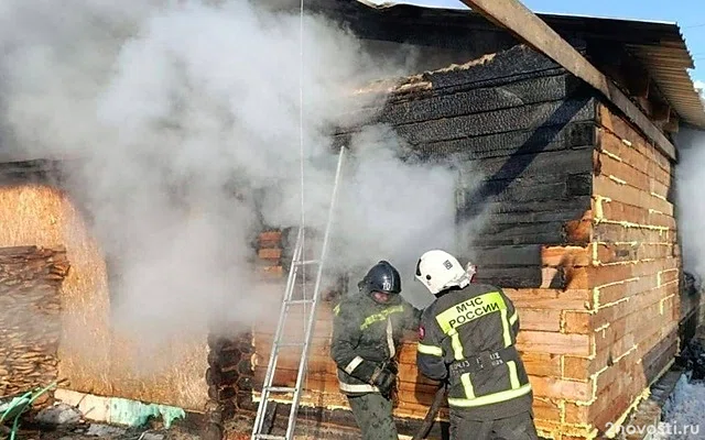 В Шадринске в огне погибли трое детей, самого младшего спасла сестренка — Новости