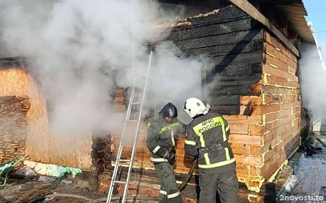 В Шадринске в огне погибли трое детей, самого младшего спасла сестренка — Новости