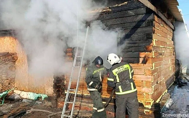 В Шадринске в огне погибли трое детей, самого младшего спасла сестренка — Новости