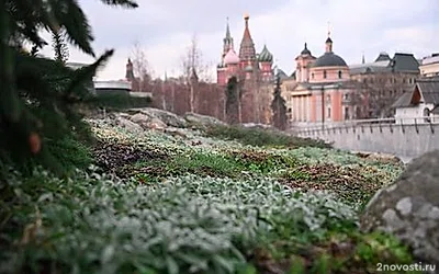 Синоптик Вильфанд: В первые дни недели погода в Москве будет холоднее нормы — Новости