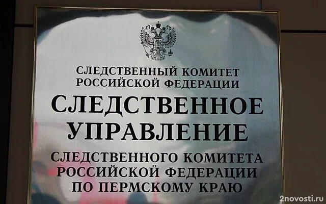 ProCHAD: в Октябрьском округе Пермского края подростки изнасиловали девочку — Новости