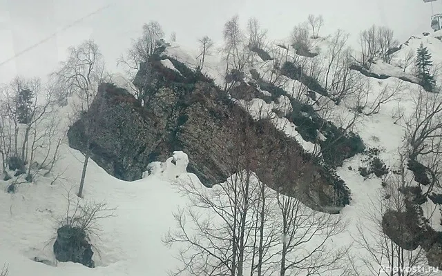 В Сочи попавших под лавину сноубордистов нашли живыми — Новости