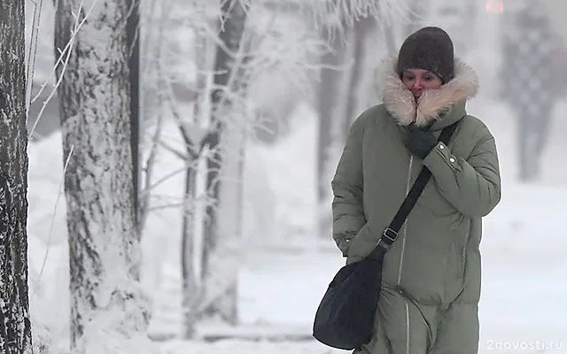 Синоптик Позднякова: на этой неделе в Москве будет морозная погода — Новости