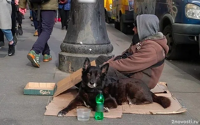 В центре Петербурга откроется Музей бомжей — Новости