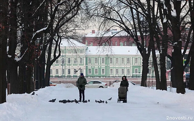 Синоптик Колесов пообещал петербуржцам снег под занавес февраля — Новости