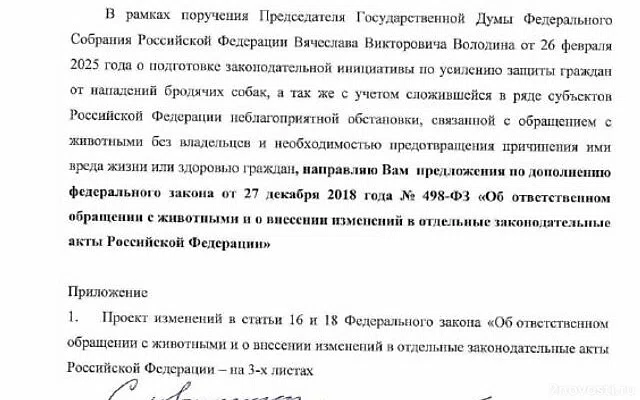 В Госдуме призвали очистить улицы российских городов от агрессивных животных — Новости