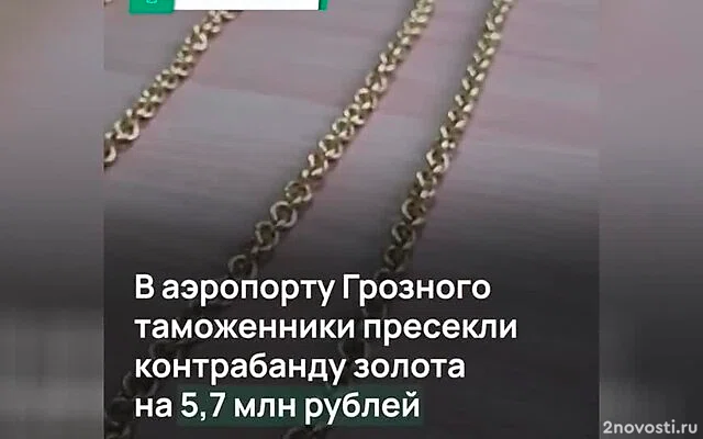 В аэропорту Грозного задержали трех россиянок с золотом на 5,7 млн рублей — Новости