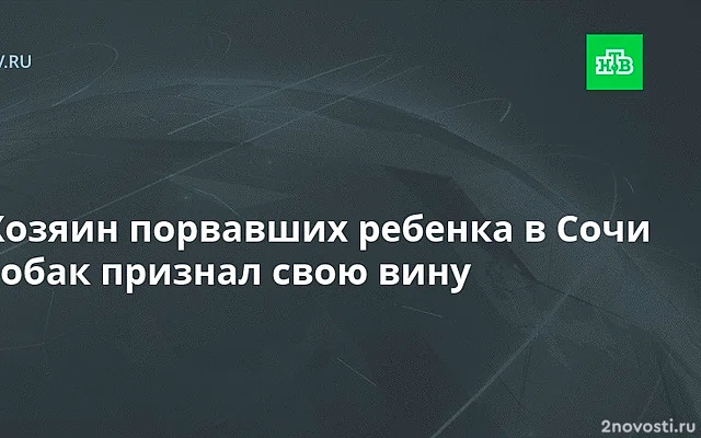 Стали известны подробности о хозяине собак, изуродовавших ребенка в Сочи — Новости