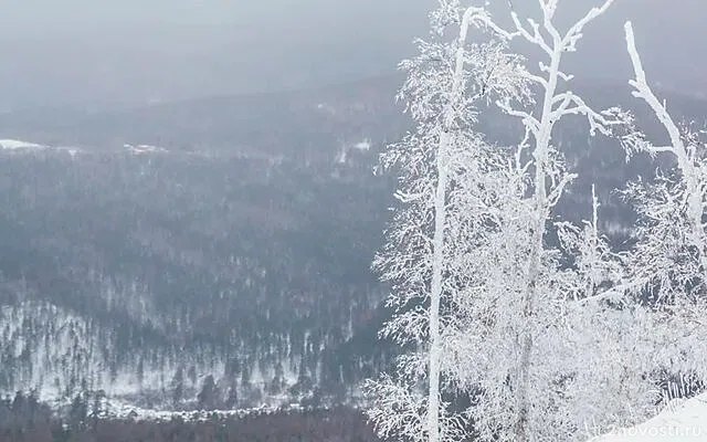 Mash опубликовал видео с сошедшей в Дагестане лавиной, накрывшей дороги — Новости