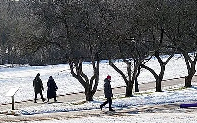 Синоптик Тишковец: На выходных в Москве пройдет мокрый снег — Новости