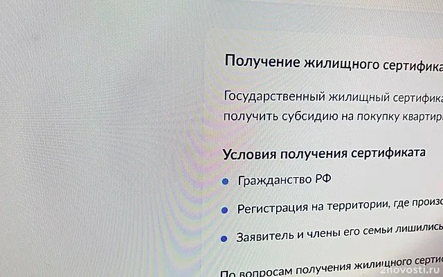 Хинштейн связал отказы переселенцам в сертификатах со сбоем на «Госуслугах» — Новости