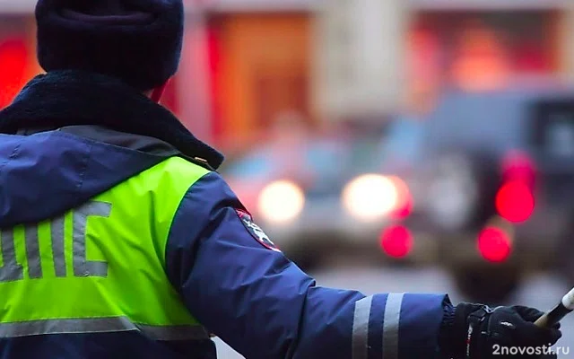 В Москве задержали автоблогера WENGALLBI за взятку сотрудникам ГИБДД — Новости