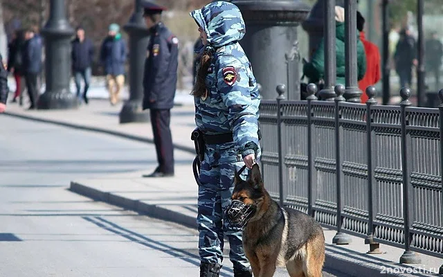 Пропавшая после занятий студентка из Полевского стала жертвой мошенников — Новости