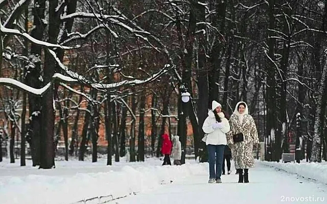 Синоптик Колесов пообещал петербуржцам потепление на следующей неделе — Новости