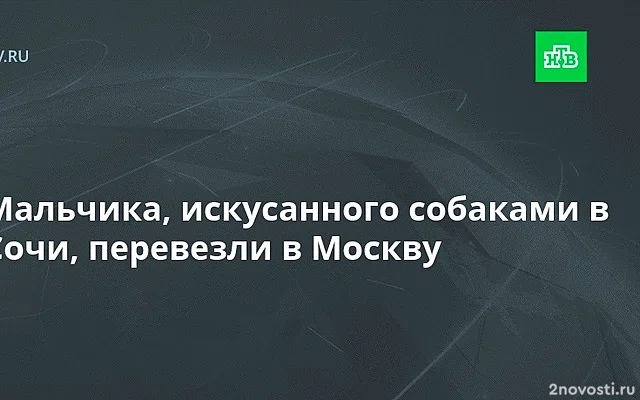 Ребенка, чье лицо разорвали собаки в Сочи, перевезли в Москву — Новости