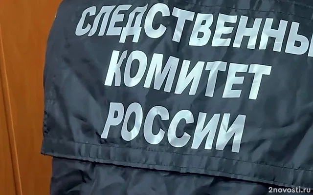 СК завершил расследование убийства школьницы, чье тело нашли в свинарнике — Новости