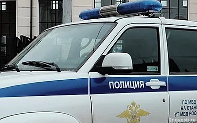 В Орехово-Зуево задержали 15-летнего отца выброшенного в контейнер младенца — Новости