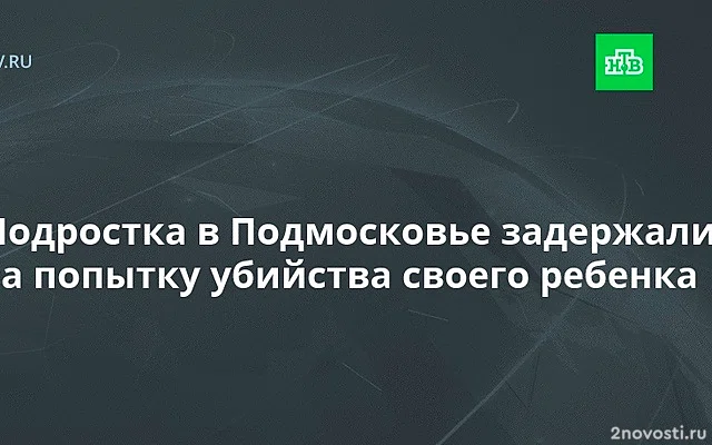 В Орехово-Зуево задержали 15-летнего отца выброшенного в контейнер младенца — Новости