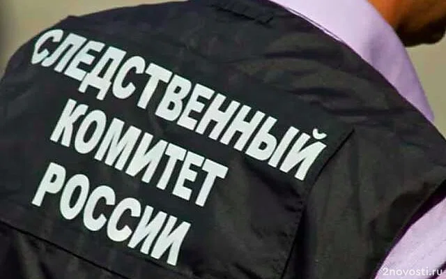 Жительницу Ивановской области задержали после попытки зарезать и задушить дочь — Новости