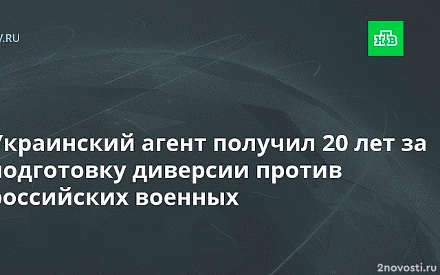 Готовивший диверсию в Белгородской области получил 20 лет лишения свободы — Новости