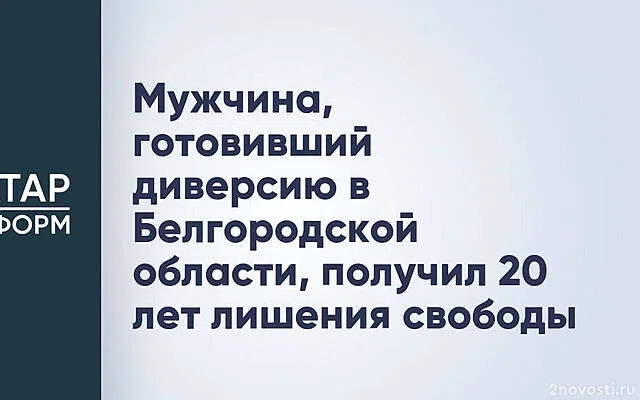 Готовивший диверсию в Белгородской области получил 20 лет лишения свободы — Новости