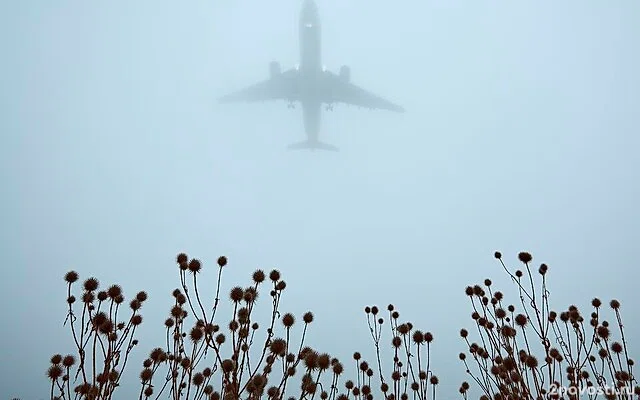 Aviaincident: Фантомные метки появились на радаре самолета на рейсе в Череповец — Новости