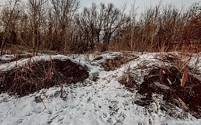 На бывшем стадионе Челябинского цинкового завода решили построить отель и кафе — Новости