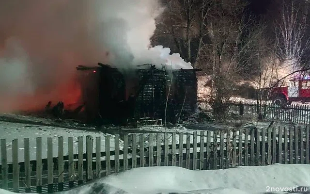 В пожаре в поселке Пасынок, где погибли отец с двумя детьми, не нашли криминала — Новости