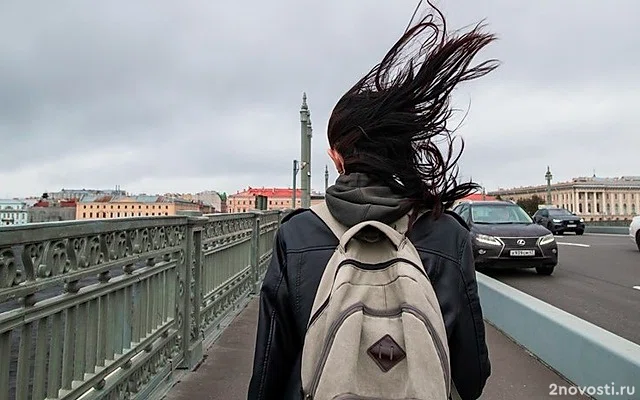 Петербуржцев предупредили об усилении ветра в четверг — Новости