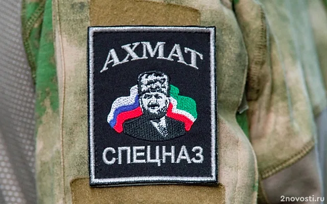 Бойцы спецназа «Ахмат» столкнулись с мышиной лихорадкой в зоне СВО — Новости