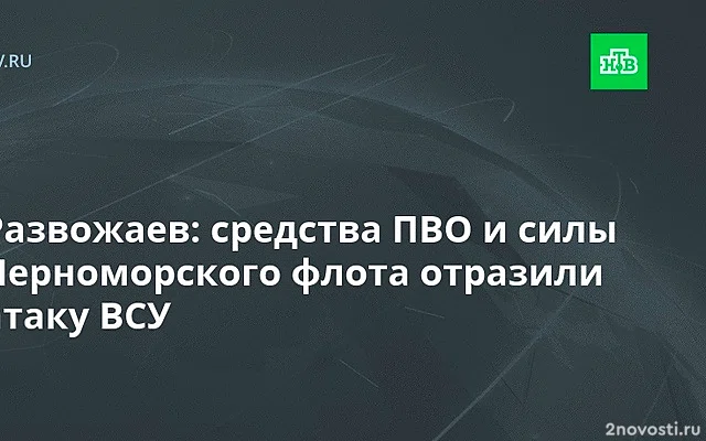 Развожаев сообщил о четырех сбитых БПЛА над акваторией Черного моря — Новости