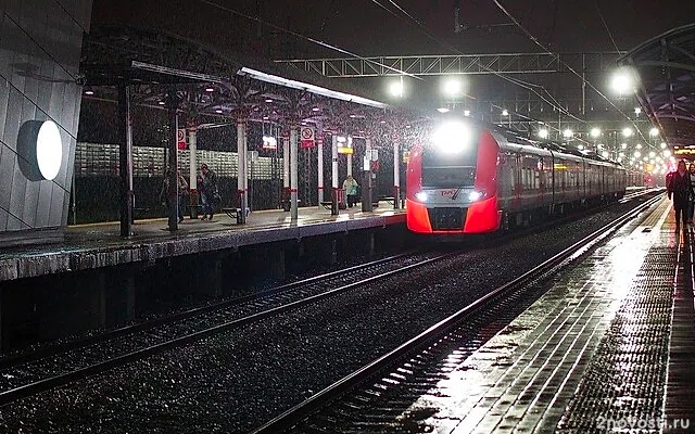 Пятеро подростков изнасиловали девушку в туалете ночной электрички в Подмосковье — Новости