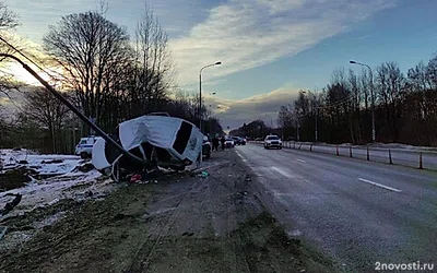 Под Тосно маленький ребенок не выжил после аварии с машиной, врезавшейся в столб — Новости