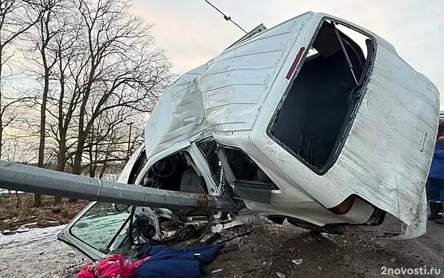 Под Тосно маленький ребенок не выжил после аварии с машиной, врезавшейся в столб — Новости