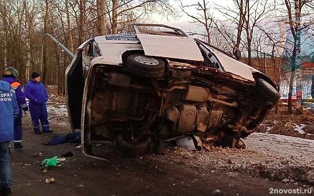 Под Тосно маленький ребенок не выжил после аварии с машиной, врезавшейся в столб — Новости