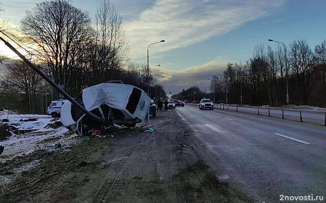 Под Тосно маленький ребенок не выжил после аварии с машиной, врезавшейся в столб — Новости