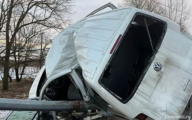 Под Тосно маленький ребенок не выжил после аварии с машиной, врезавшейся в столб — Новости