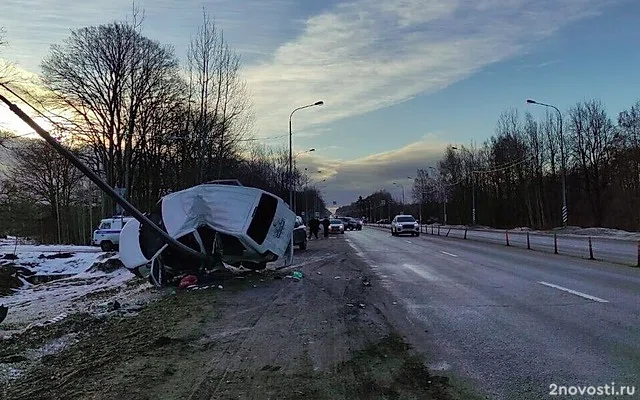 Под Тосно маленький ребенок не выжил после аварии с машиной, врезавшейся в столб — Новости