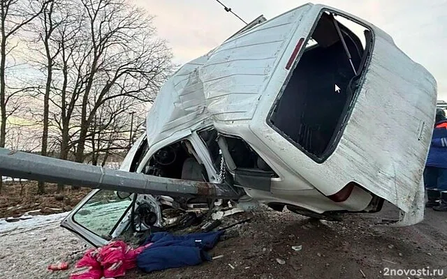 Под Тосно маленький ребенок не выжил после аварии с машиной, врезавшейся в столб — Новости