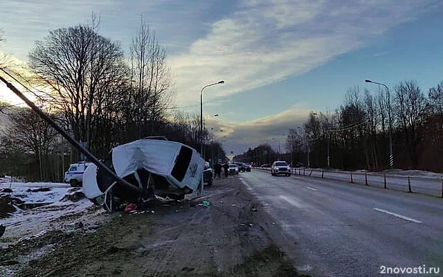 Под Тосно маленький ребенок не выжил после аварии с машиной, врезавшейся в столб — Новости