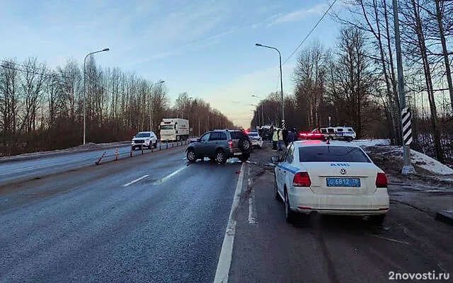 Под Тосно маленький ребенок не выжил после аварии с машиной, врезавшейся в столб — Новости