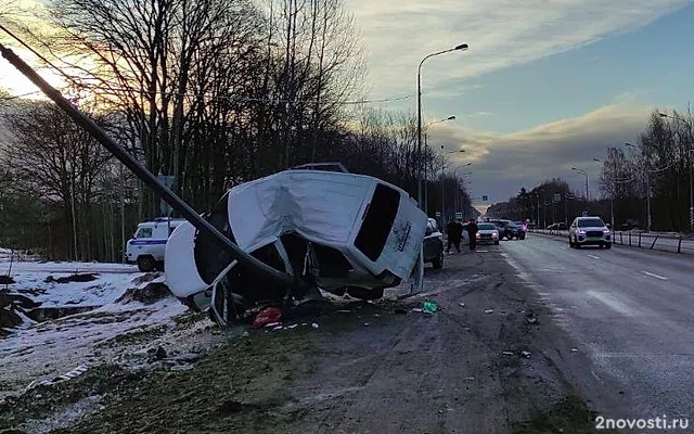 Под Тосно маленький ребенок не выжил после аварии с машиной, врезавшейся в столб — Новости