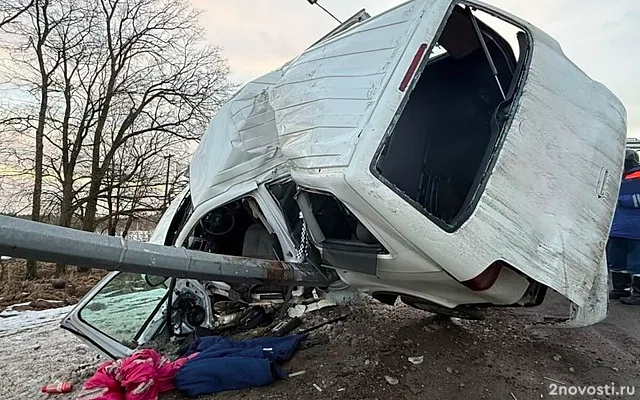 Под Тосно маленький ребенок не выжил после аварии с машиной, врезавшейся в столб — Новости