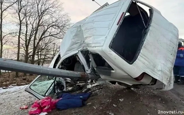 Под Тосно маленький ребенок не выжил после аварии с машиной, врезавшейся в столб — Новости