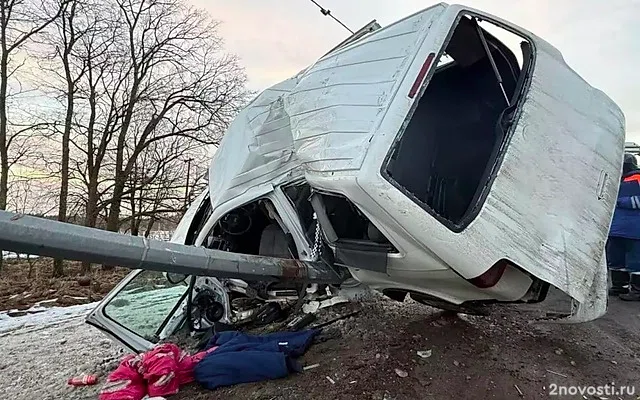 Под Тосно маленький ребенок не выжил после аварии с машиной, врезавшейся в столб — Новости