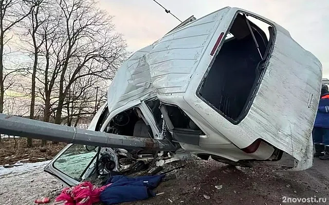 Под Тосно маленький ребенок не выжил после аварии с машиной, врезавшейся в столб — Новости