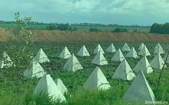 После экспертизы качества бетонных пирамид в Курской области завели дело — Новости