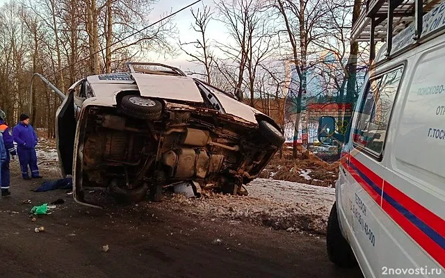 Под Тосно маленький ребенок не выжил после аварии с машиной, врезавшейся в столб — Новости