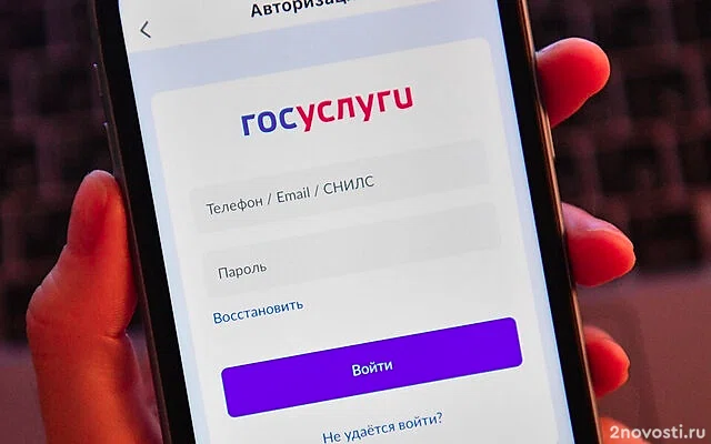 Голованов: Захваченный мошенниками аккаунт на «Госуслугах» надо заблокировать — Новости